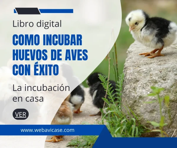 Libro La incubación en casa